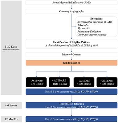 Randomized Evaluation of Beta Blocker and ACE-Inhibitor/Angiotensin Receptor Blocker Treatment for Post Infarct Angina in Patients With Myocardial Infarction With Non-obstructive Coronary Arteries: A MINOCA-BAT Sub Study Rationale and Design